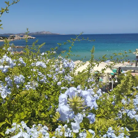 Appartement Seaside - 6pl June July - 150 M From Smeraldo