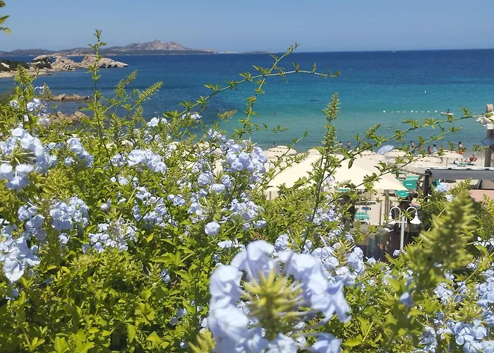 Daire Seaside - Rent From June 20, 2026, To July 11, 2026